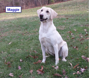 Maggie 3 (11-29-14)