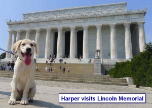 Sadiepup.Harper(Lincoln Memorial)