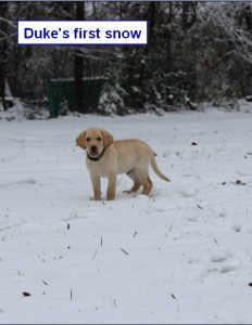 Duke's 1st snow