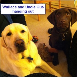Katiepup.Wallace&Uncle Gus2