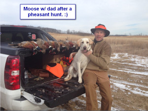 Sadiepup.Moose after pheasant hunt