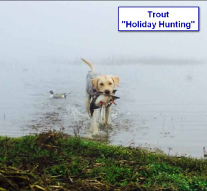 Sadiepup.Trout - Holiday Hunting