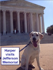 Sadiepup.Harper (Jefferson Memorial)