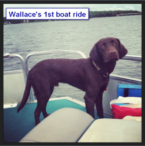 Katiepup.Wallace boat ride