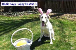 Sadiepup.Bodie says Happy Easter