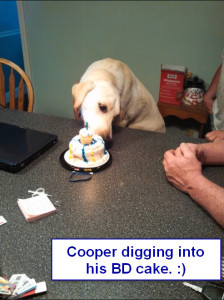 Sadiepup.Cooper (MA) BD cake