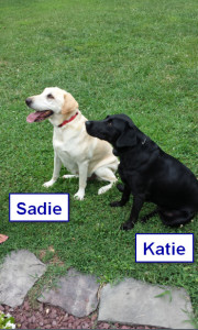 Sadie and Katie (Southland Girls)