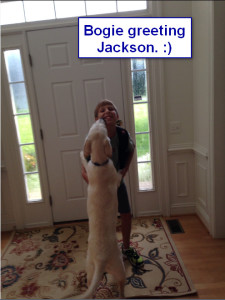 Sadiepup.Bogie greeting Jackson