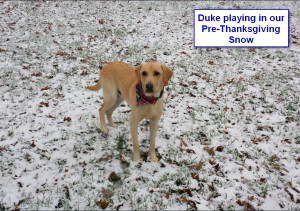Duke - Pre-Thanksgiving Snow