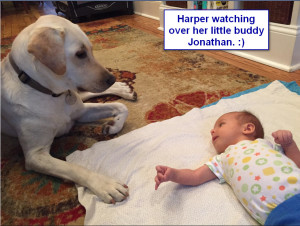 Sadiepup.Harper watching over Jonathan