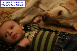 Sadiepup.Harper and Jonathan - Baby's Best Friend