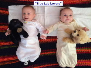 True Lab Lovers