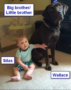Katiepup.Wallace w- little brother Silas2