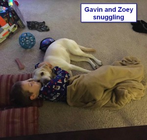 Sadiepup.Zoey and Gavin snuggling