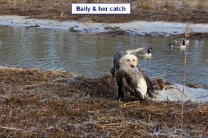 Sadiepup.Baily and her catch