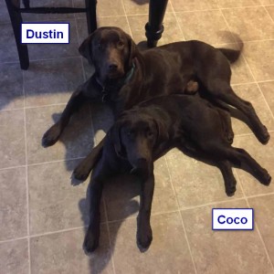 Katiepup.Coco and Dustin2